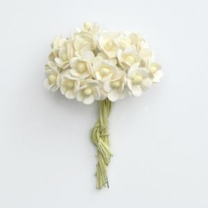 Хартиени цветя, 20бр. - Ivory sweetheart MKX-260