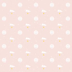 Design Paper Cute Little Bunny 30x30 - CREA2001-16