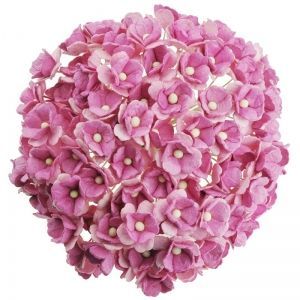 Paper Blossoms 10 pcs - BABY PINK SWEETHEART BLOSSOM FLOWERS MKX-280